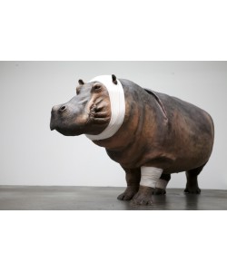 Hippopotame Série "accident de chasse"