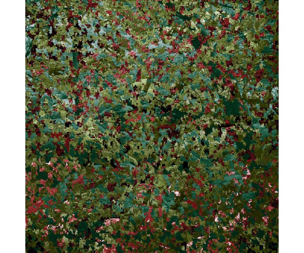 Nature under camouflage Lionel Bayol-Thémines - Vente d'Art